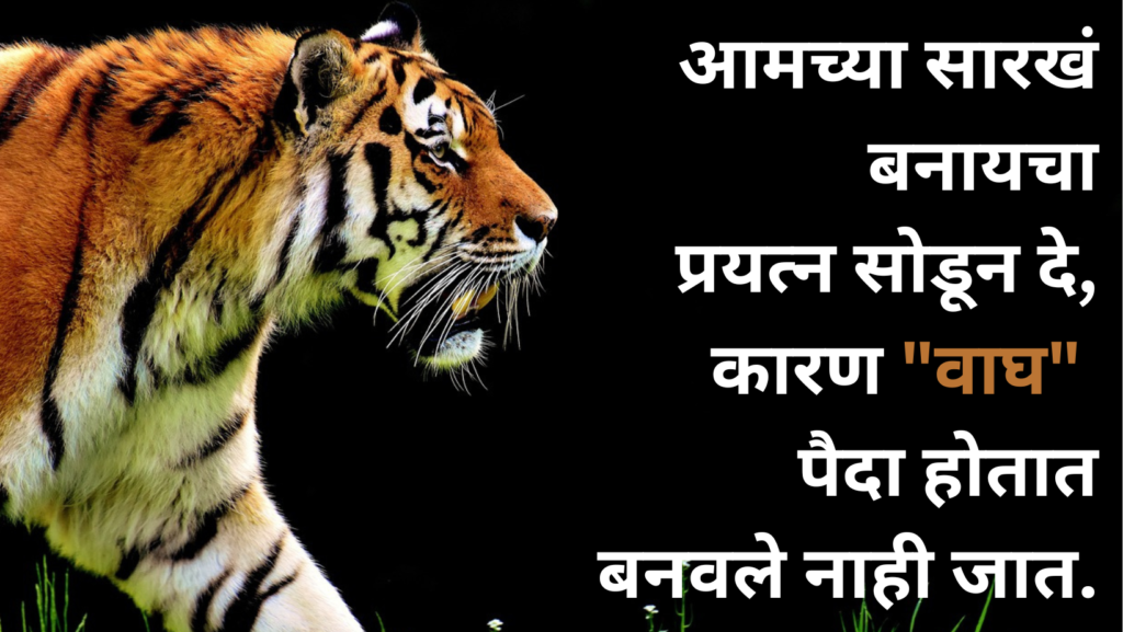 आमच्या सारखं बनायचं
प्रयत्न सोडून दे,
कारण "वाघ" पैदा होतात
बनवले नाही जात.
Instagram Marathi Attitude Captions